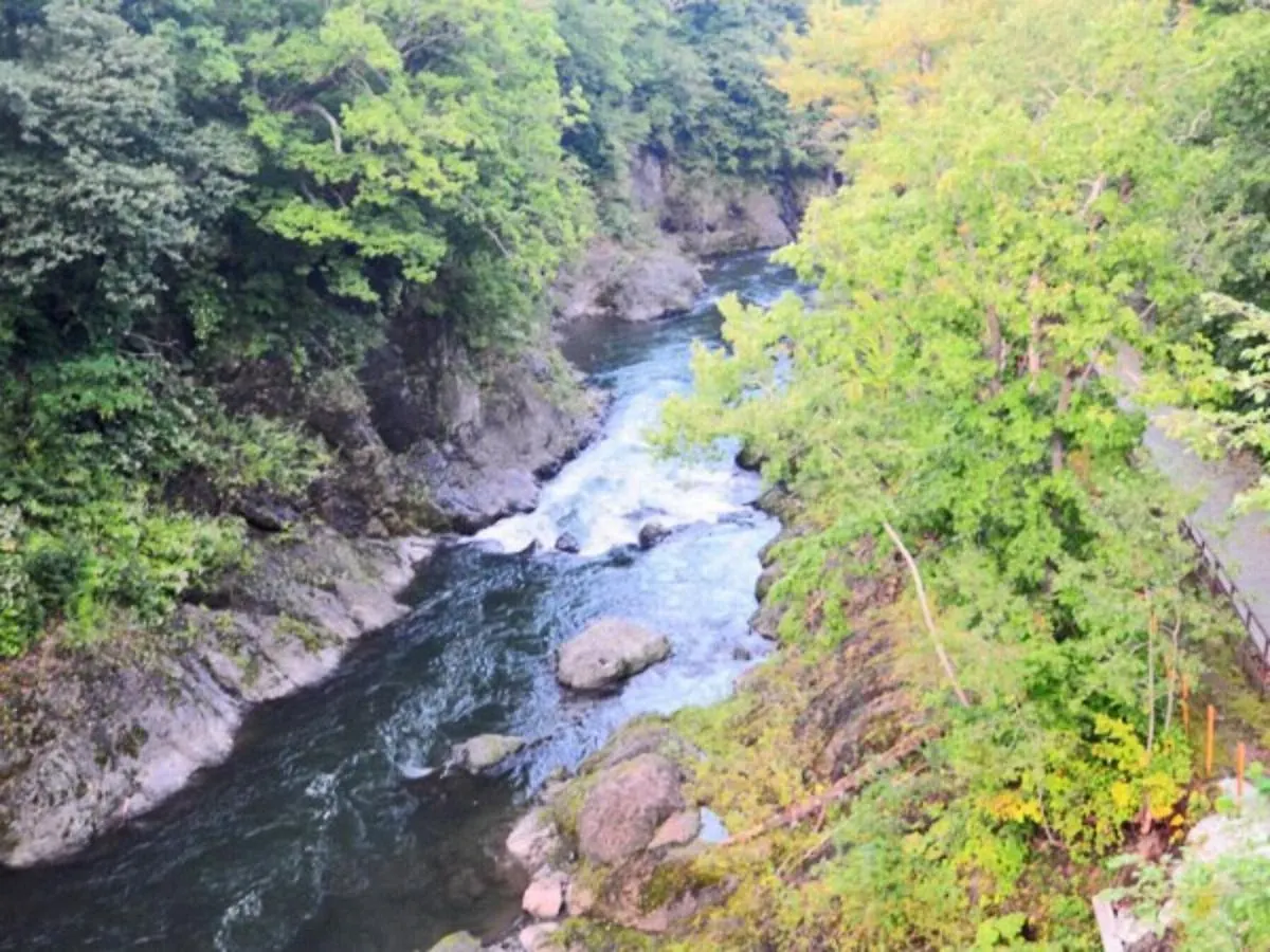 Takinoue Hotel Keikoku - Vacation Stay 32422V